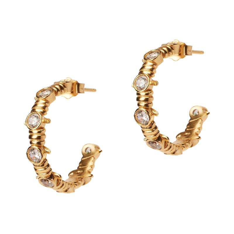 Caught up Earrings